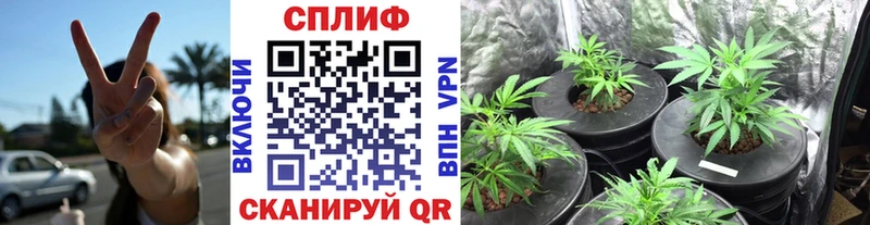 Каннабис марихуана  наркошоп  Чапаевск 